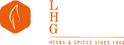 Webdesign_LHG_v2-15-1