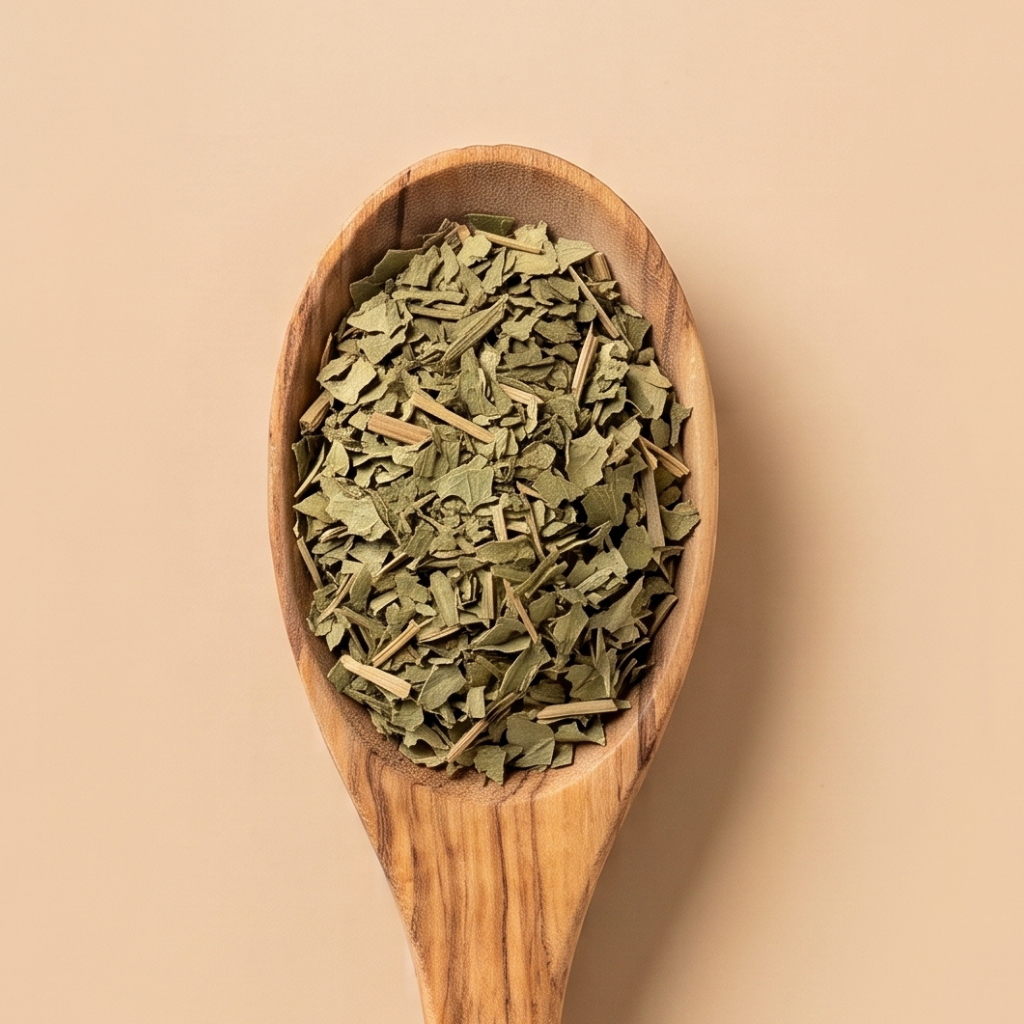CASSIS FEUILLE – Image 2