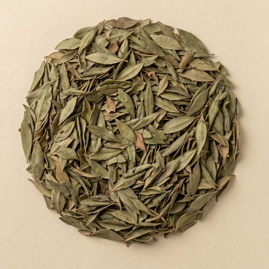 MYRTE FEUILLE