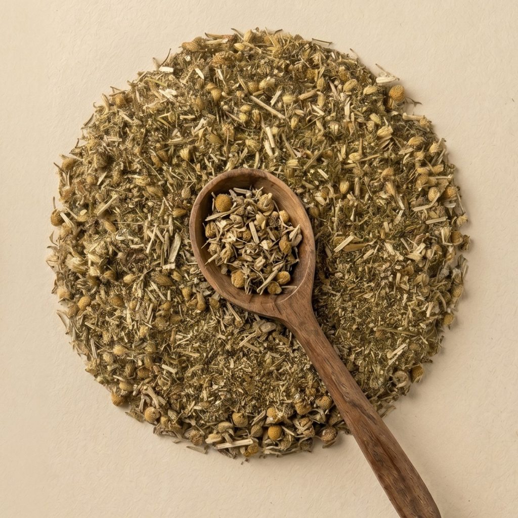 MILLEFEUILLE PLANTE – Image 2