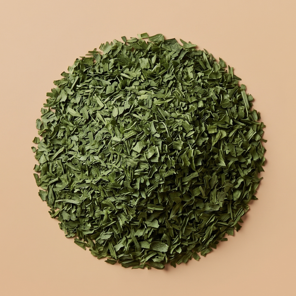 CELERI FEUILLE BIO