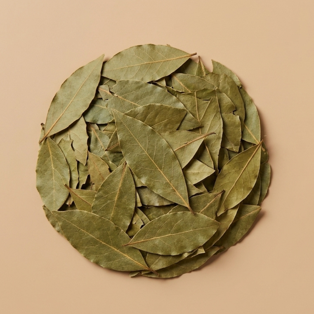 LAURIER FEUILLE SELECTION