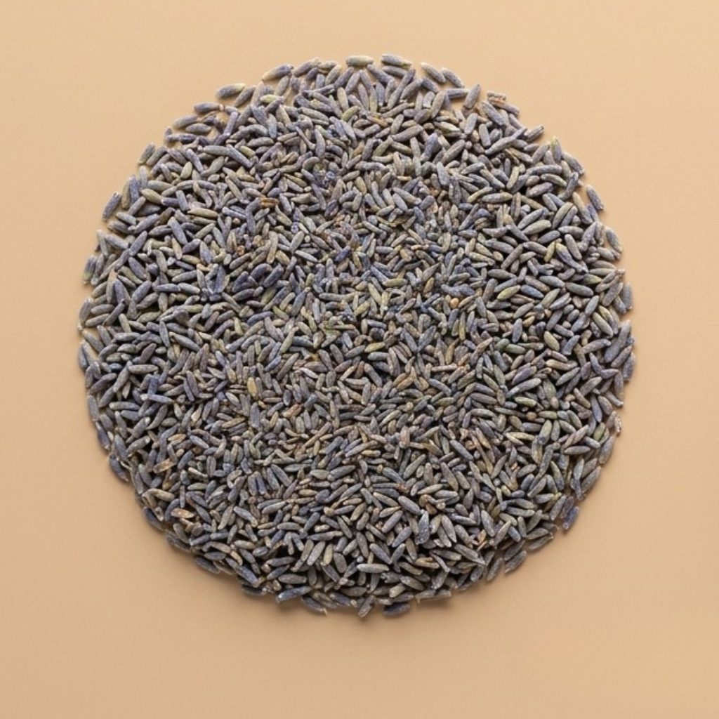 LAVANDE FLEUR BLEUE