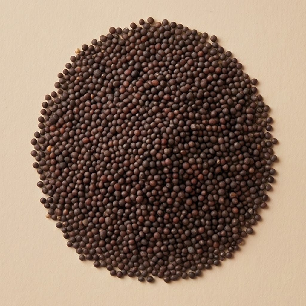 MOUTARDE NOIRE GRAINE BIO