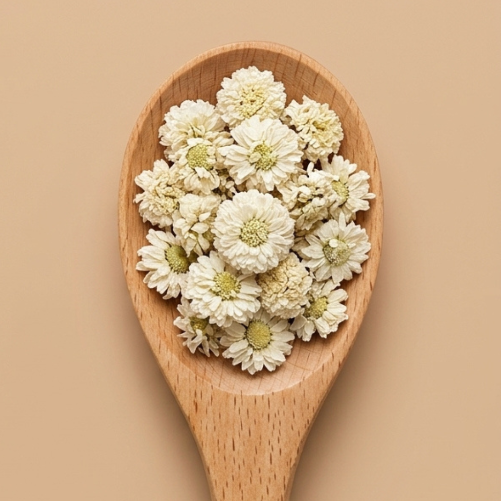 CAMOMILLE ROMAINE FLEUR – Image 2