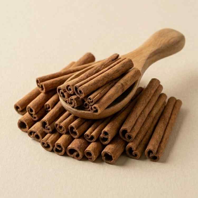CANNELLE SELECTION – Image 3