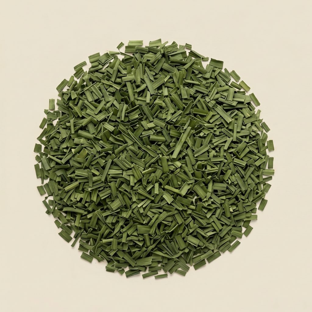 CIBOULETTE PLATE