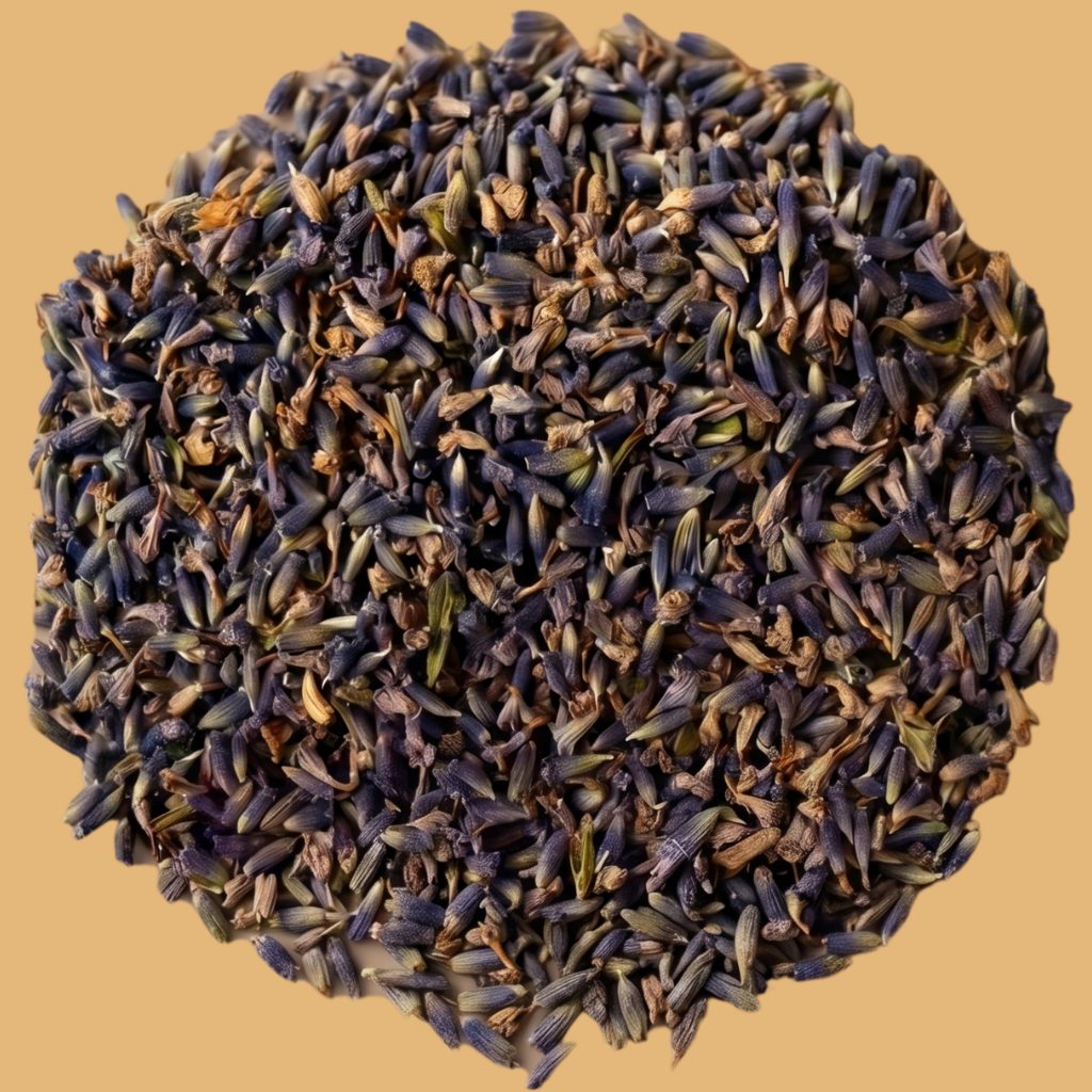 LAVANDE FLEUR SUPER BLEUE