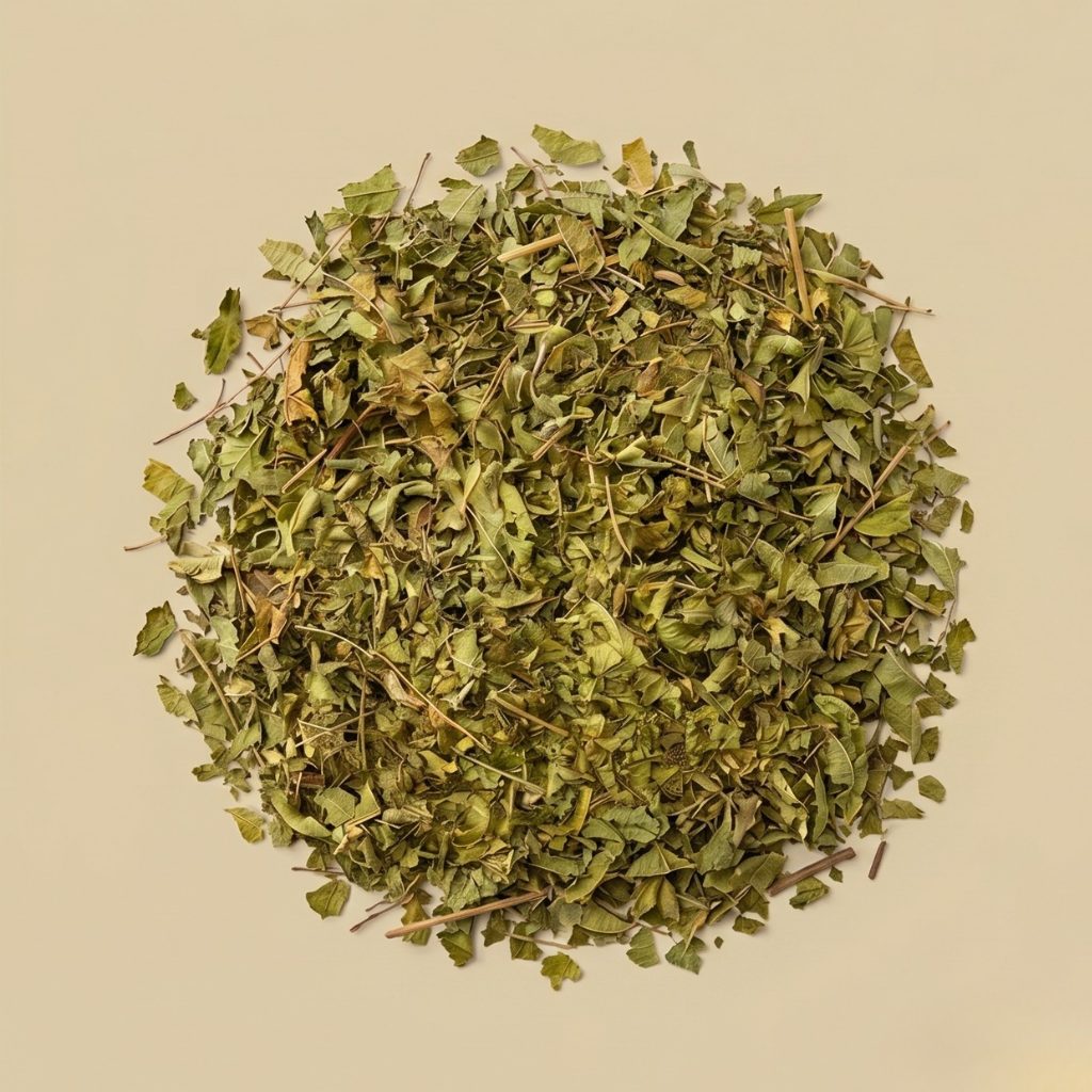 VERVEINE ODORANTE FEUILLE