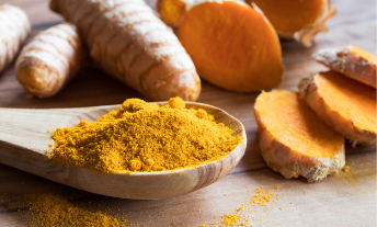 curcuma en gros